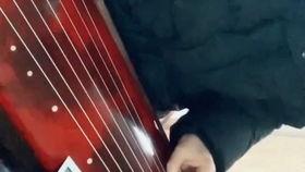 古琴李程个人资料,琴韵悠扬，传承千年国乐之美