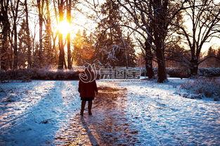 雪地女图片,捕捉冬日里的绝美瞬间