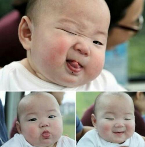 民国wink表情包,Wink表情包的复古魅力