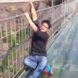 各种撞到玻璃搞笑视频