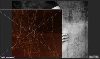 双眼蒙纱布照片,探寻视觉世界的奇妙之旅