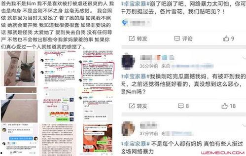 石家庄卓宝网红,揭秘网红背后的故事与魅力