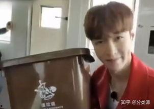 明星的垃圾,从垃圾分类到绿色生活